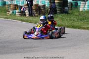 20110501_ales_agnus (2429)